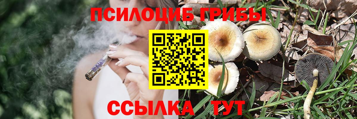 Электросталь  Псилоцибиновые грибы Psilocybe  Вход с VPN  Галлюциногенные грибы GOLDEN TEACHER 